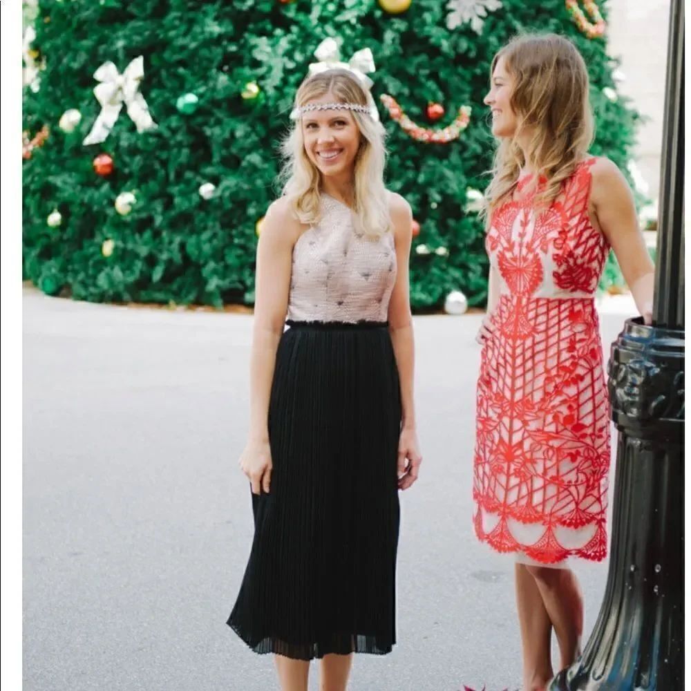 💯 ANTHROPOLOGIE Sugared Ruby Sheath - Picture 3 of 8